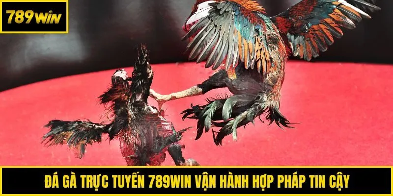 Đá gà trực tuyến 789win vận hành hợp pháp tin cậy