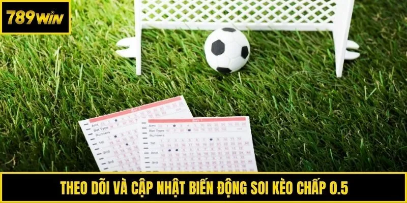 Theo dõi và cập nhật biến động soi kèo chấp 0.5